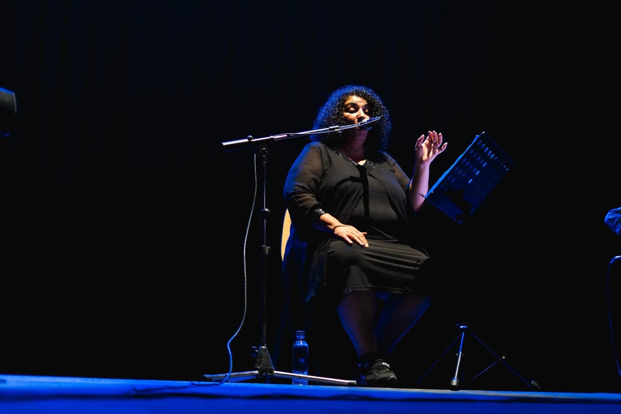 Festival Ali Ben Ayed