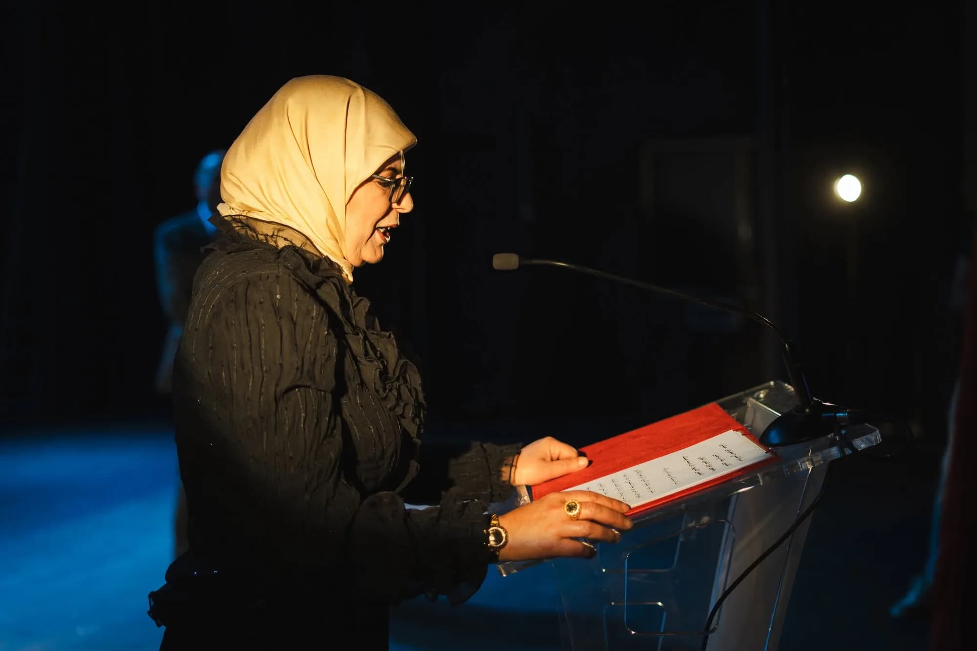 Festival Ali Ben Ayed
